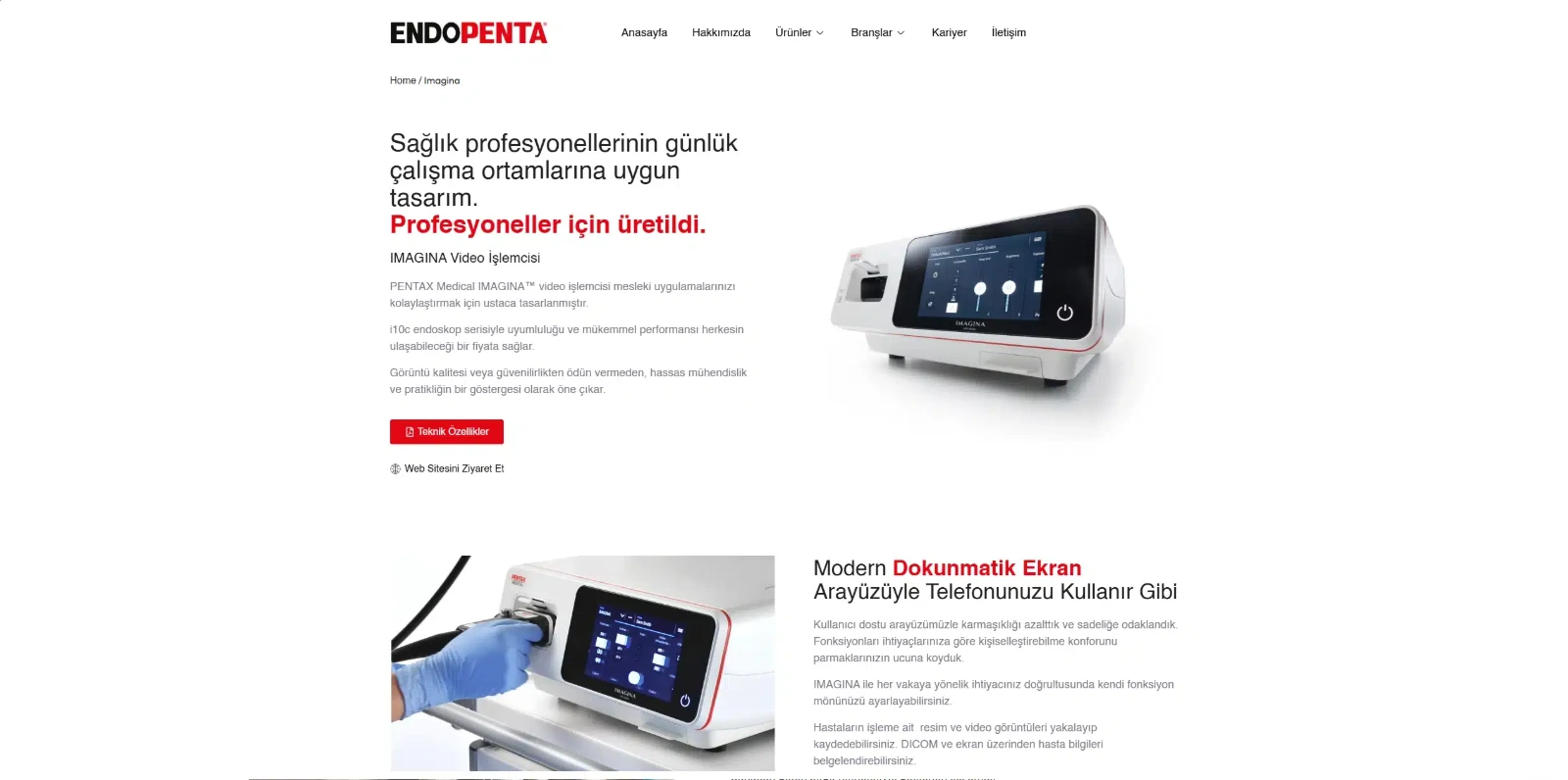 Endopenta web sitesi tasarımı