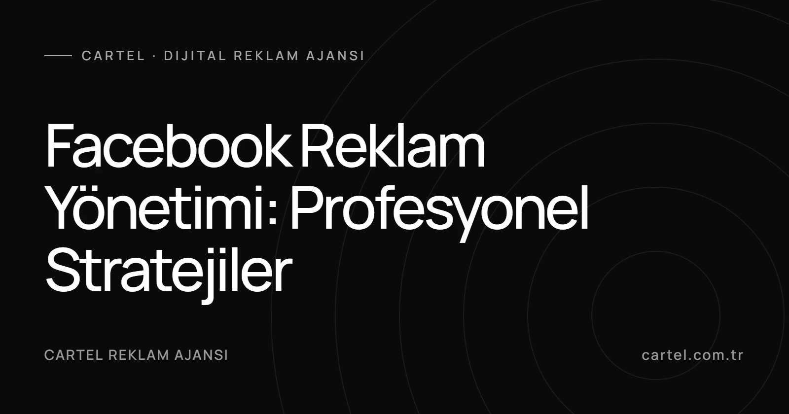 Facebook Reklam Yönetimi: Profesyonel Stratejiler kapak görseli