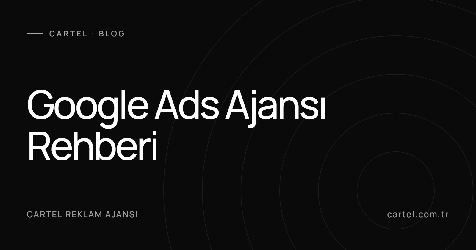 Google Ads Ajansı Rehberi