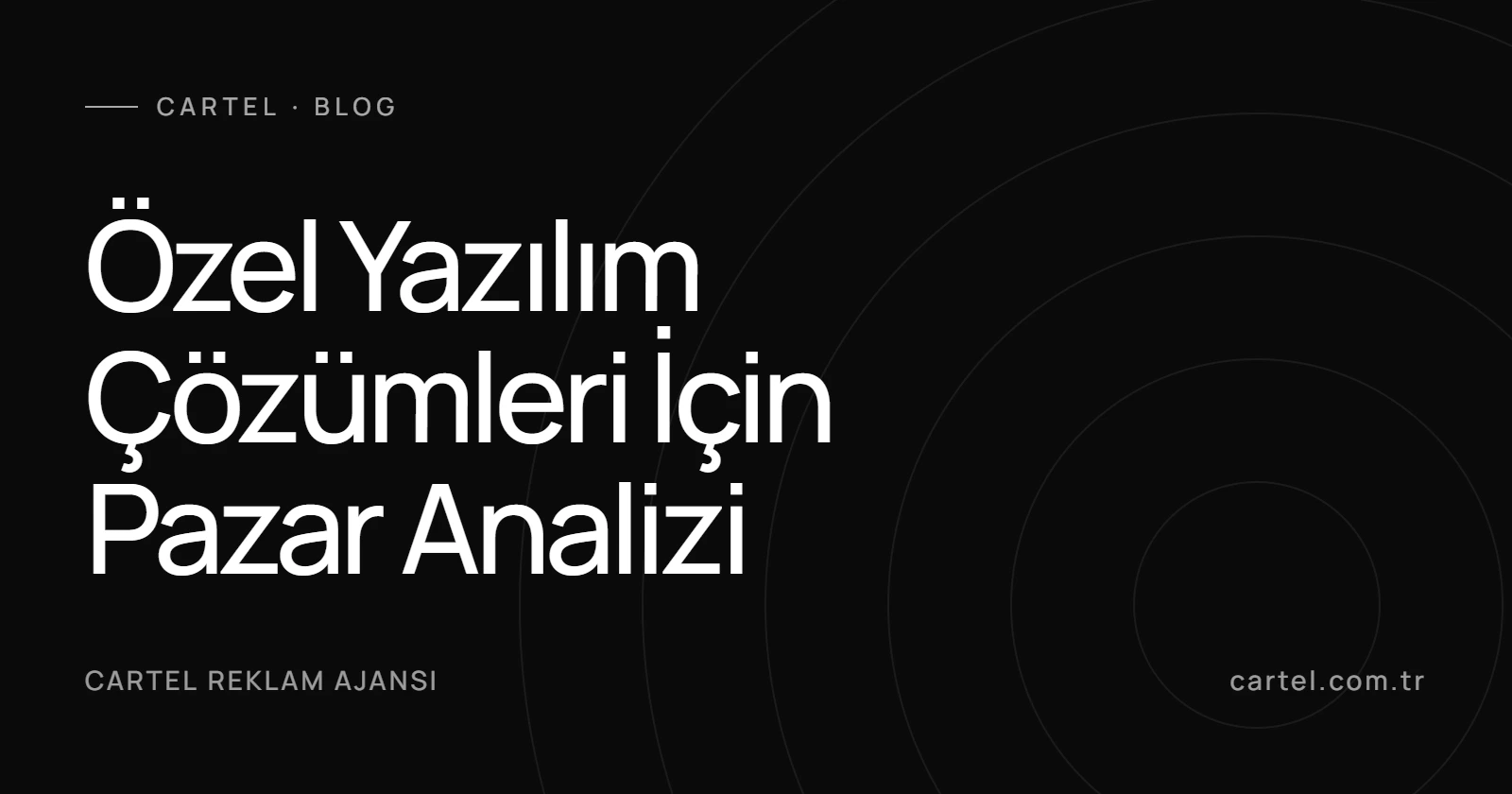 Özel Yazılım Çözümleri İçin Pazar Analizi