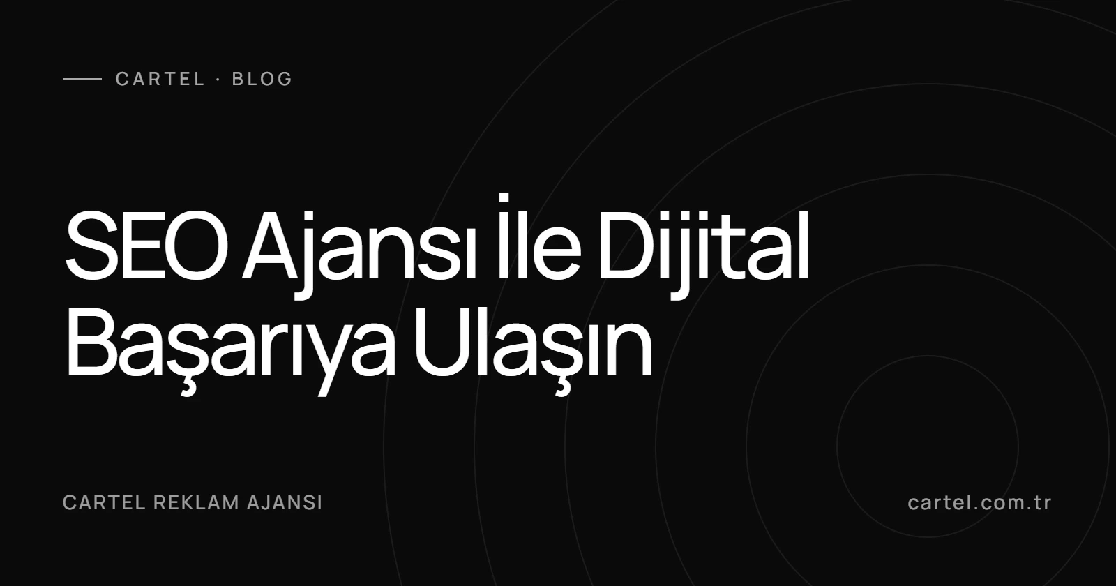 SEO Ajansı İle Dijital Başarıya Ulaşın