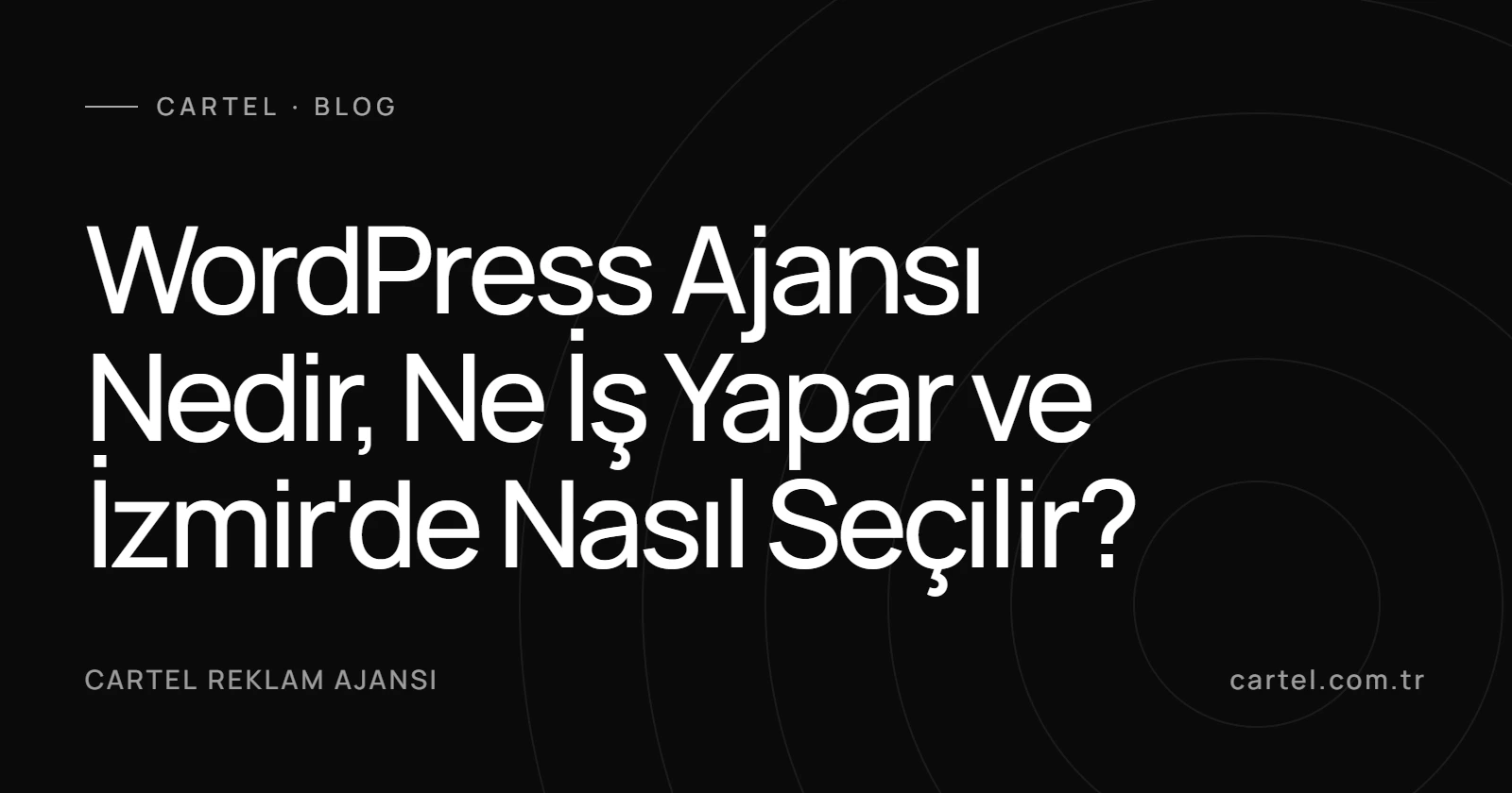 WordPress Ajansı Nedir, Ne İş Yapar ve İzmir’de Nasıl Seçilir?